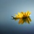 FotoSoci &raquo; Daniela Ghezzi